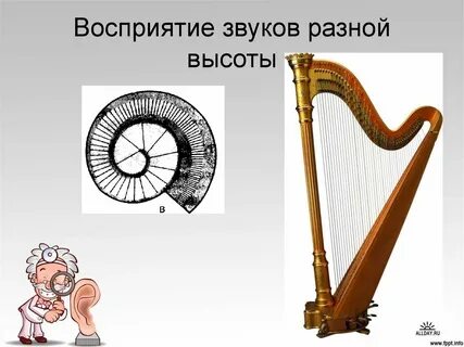 Как звучат разные