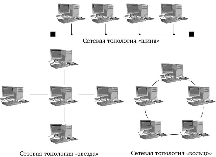 Аппаратные средства локальной сети. Древовидная топология сети. Технические средства локальных сетей. Аппаратные средства локальных сетей. Технические средства ЛВС.