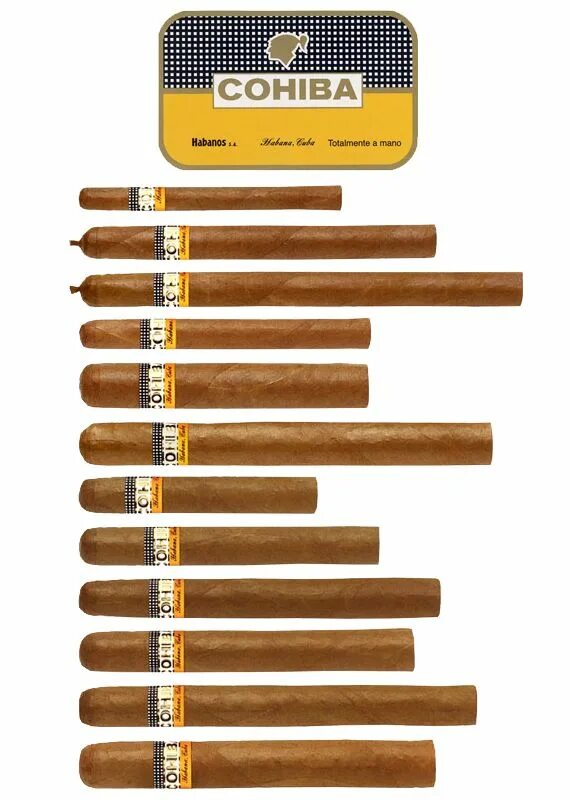 Типы сигар. Размеры сигар cohiba. таблица размеров сигар cohiba. кубинские сигареты cohiba. caribbean blend сигариллы.