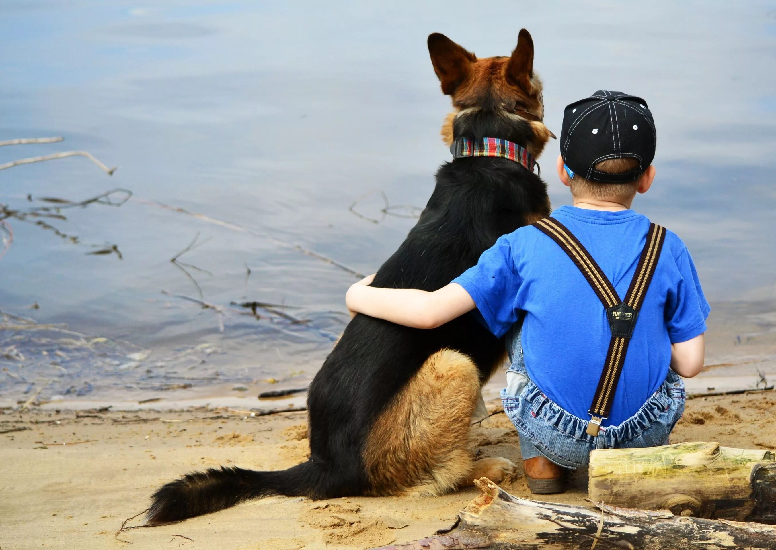 Собака друг человека. Дружба собаки и человека. Собака верный друг человека. Лучший друг человека.