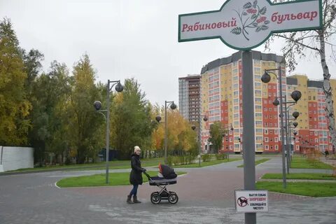 Рябиновый бульвар