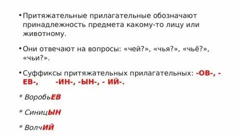 Как понять притяжательное прилагательное