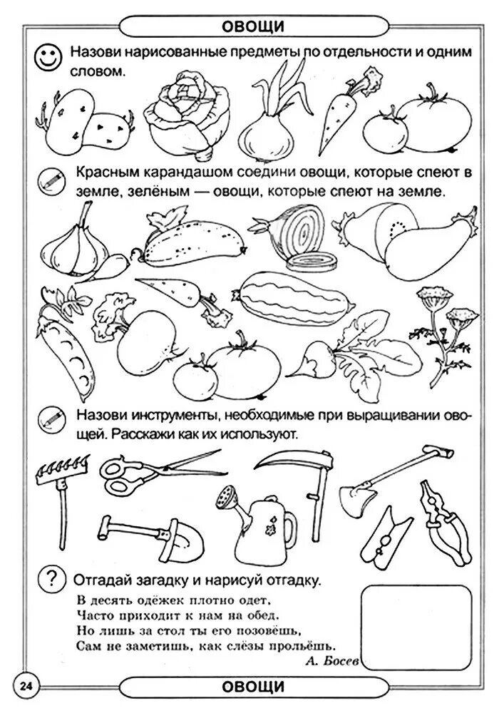 Овощи фрукты задания для дошкольников. Задания по теме овощи и фрукты для дошкольников. Овощи задания для дошкольников. Задания по теме овощи для дошкольников. Задание 5 овощи