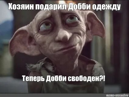 Хозяин подарил
