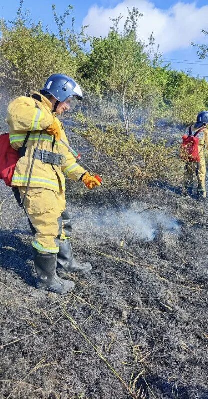 Служба спасения 112. Мэр сочи 2022. Служба спасения сочи. Служба спасения города сочи. Мку сочи спас.