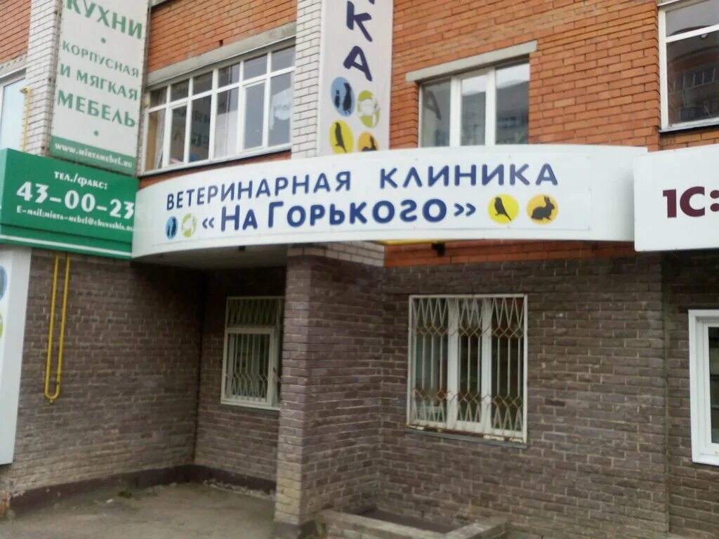 ветлечебница аша. максима горького 27 тула ветеринарная клиника. биосфера ветеринарная клиника краснодар. максима горького ветклиника. ветеринарная клиника прайд ангарск.