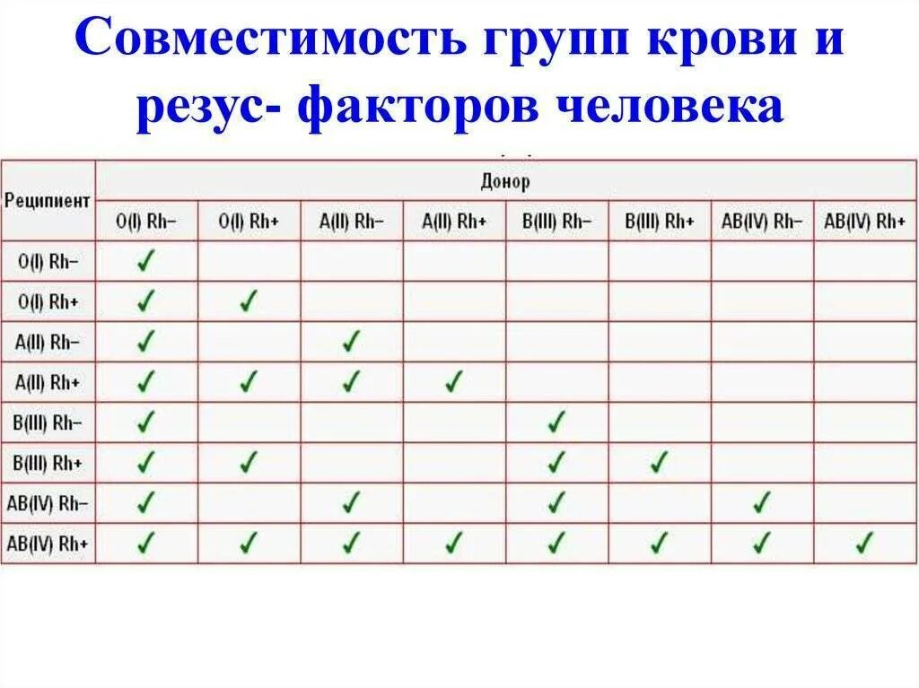 Группа крови таблица совместимости для зачатия