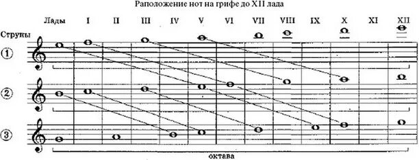 Ноты на домре расположение на грифе. Ноты на домре расположение на грифе малой. Расположение нот на грифе домры трехструнной малой. Расположение нот на грифе домры трехструнной. 6 струнной звуки