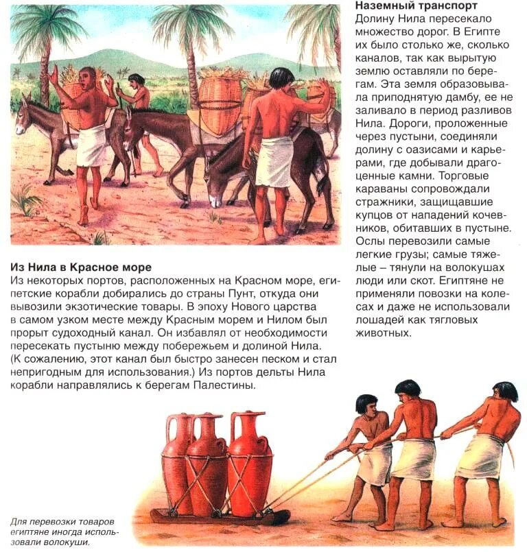 объясните различия в хозяйственной деятельности египтян живущих. объясните различия в хозяйственной деятельности египтян живущих. природно-ресурсный потенциал египта. быт египтянина египтянина. дом египтянина в древнем египте.