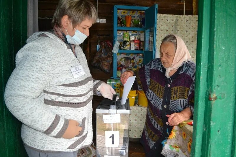 Явка на выборах во владимирской области сегодня. Пенсионеры фото. Явка на выборах Владимирская область. Пенсионер и пенсионерка. Голосование на дому.