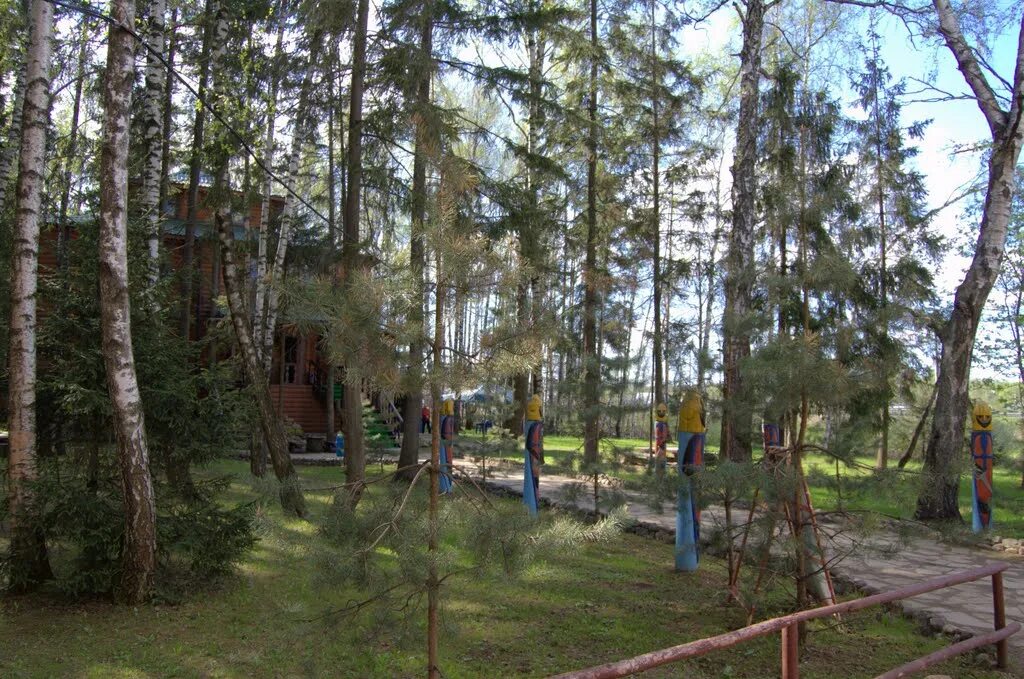 Лесной городок клуб. Фитнес ван лесной городок зал. Лесной городок клуб. Спортинг клуб тридевятое царство. Фитнес ван лесной городок зал.