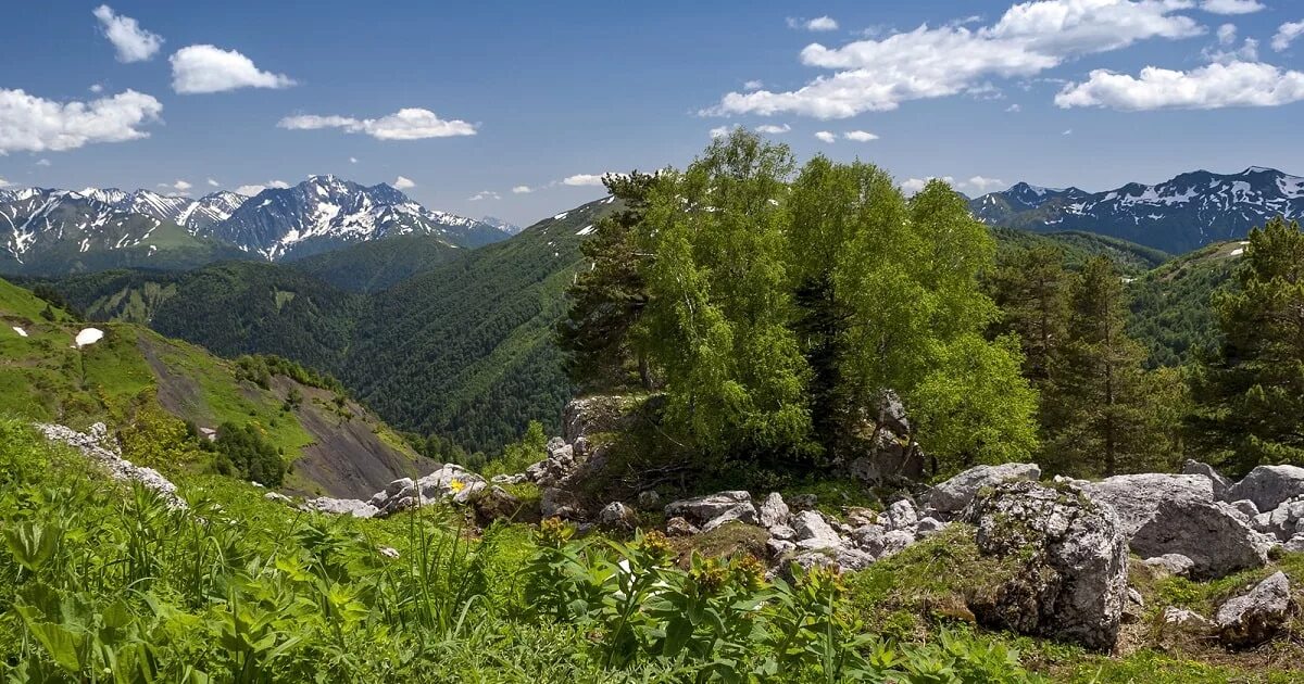 Государственные природные заповедники краснодарского края. Кавказский государственный биосферный заповедник. Кавказский биосферный заповедник горы. Кавказский государственный природный заповедник Сочи. Кавказский биосферный заповедник Адыгея.