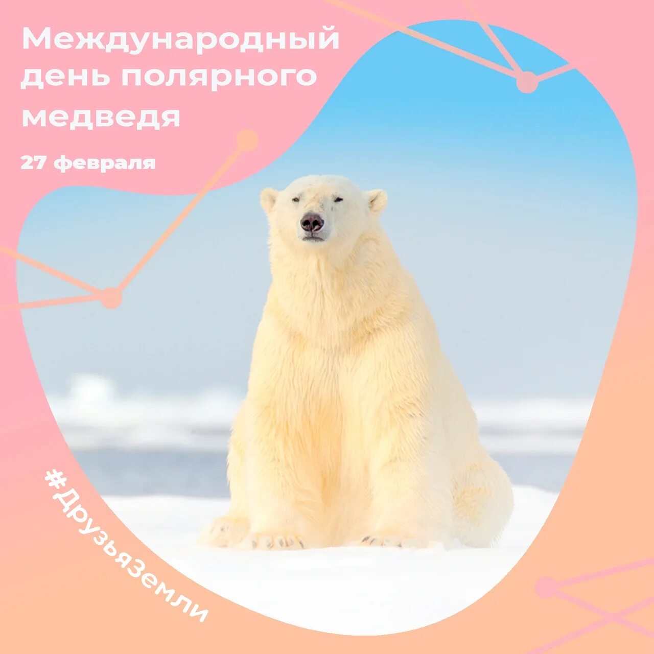 27 февраля международный день полярного медведя. Международный день белого медведя. 27 февраля международный день белого медведя. Международный день белого медведя 2024. День белого медведя.
