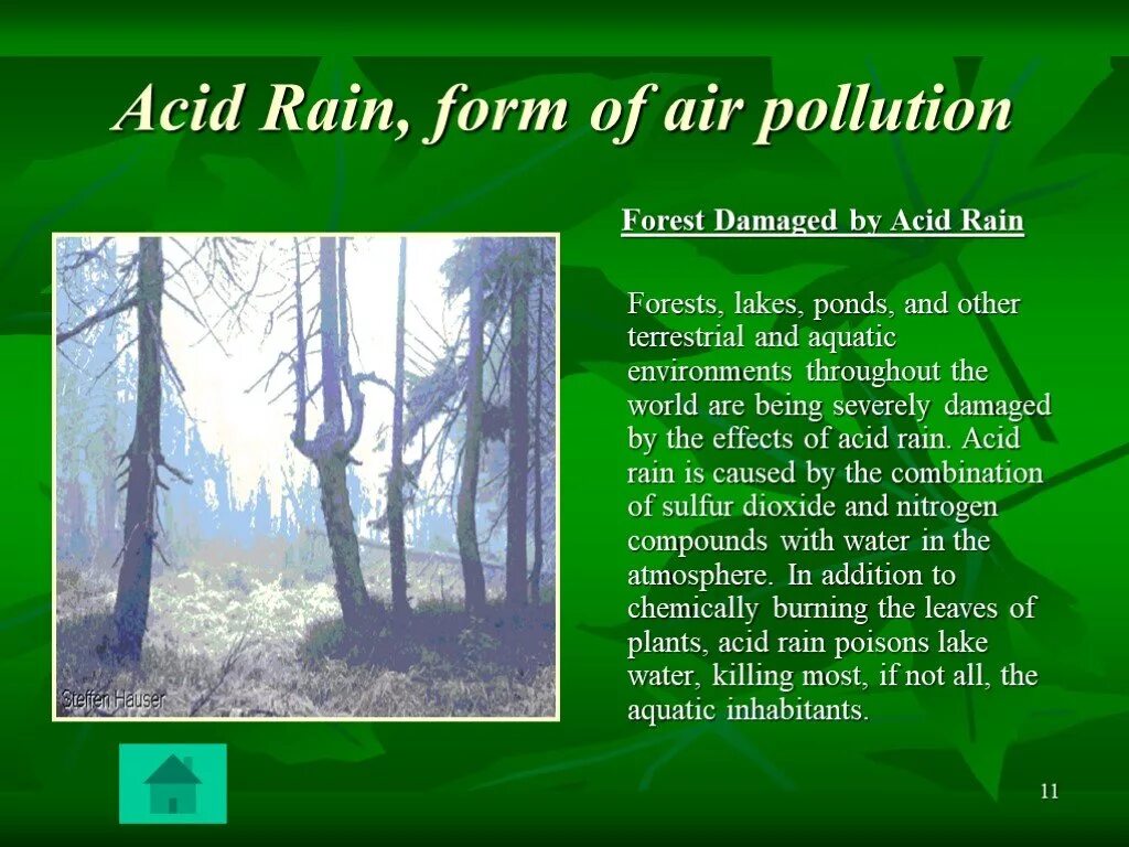 Воздух на английском языке. Acid Rain and Forest. Acid Rains презентация на англ. Air pollution acid Rain. Acid Rain текст.