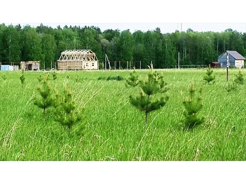 земельный участок ижс. малиновка тюмень 2021. земельные участки тюменская обл. тюмень поселок с развитой инфраструктурой. коттеджный поселок сказка ирбитский тракт тюмень.