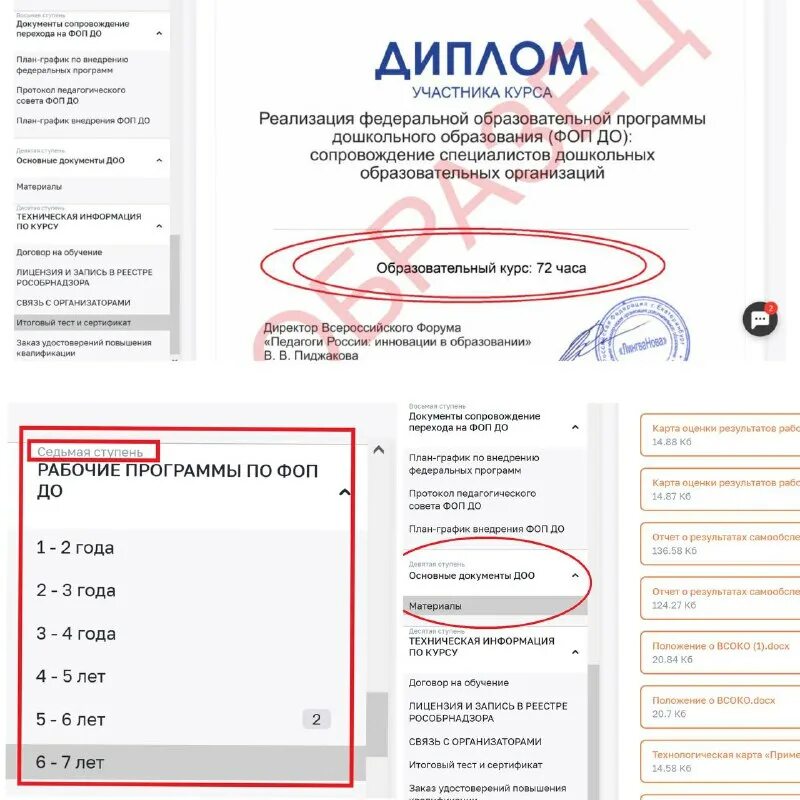 Мониторинг внедрения фоп до. Мониторинг внедрения фоп до