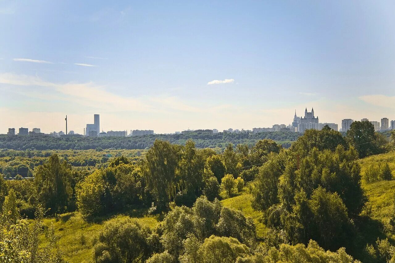 Парк Крылатские холмы. Крылатские холмы лес. Парк Крылатские холмы вид. Парк Крылатское лес. Город на 3 холмах