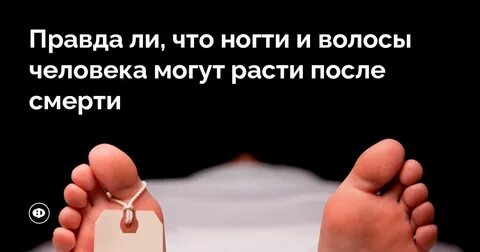 Правда ли что человек может