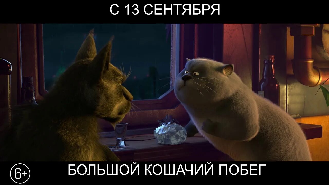 Большой кошачий побег / Cats & Peachtopia (2018). Большой кошачий побег 2. Кот Шустрик из большой кошачий побег. Включи побег котов