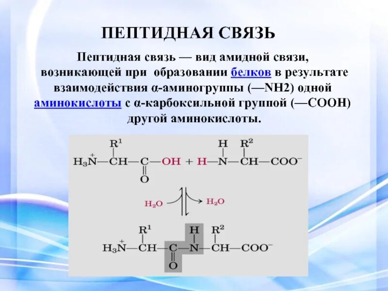 Пептидная связь аминокислот формула. Пептидная и амидная связь. Реакции аминокислот с образованием пептидной связи. Образование пептидной связи формула.