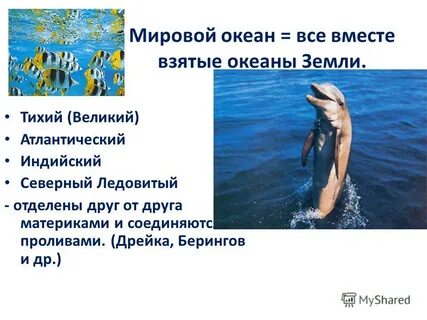 Перед самым выходом в океан мы брали