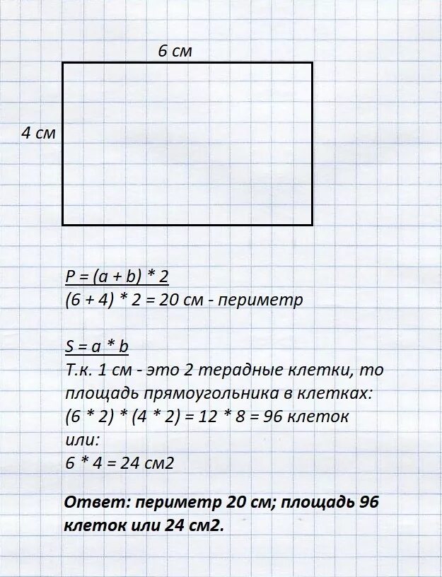 Прямоугольник со сторонами 5 и 6 см. Площадь и периметр прямоугольника со сторонами. Площадь прямоугольника со сторонами 6см и 4 см. Периметр тетради. Площадь прямоугольника со сторонами 6 и 4.