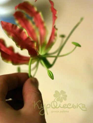 Цветы в технике мастер класс. Букеты с глориозой фото.