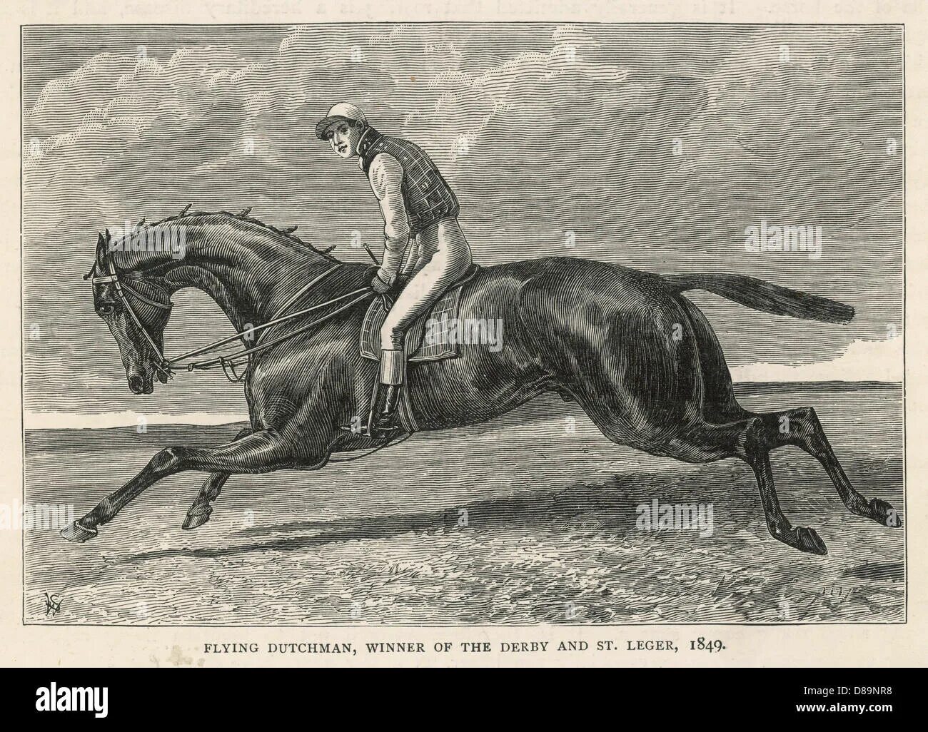 Большой конь 1846 года. Лошади 19 век. Графика-Скаковая лошадь. Скаковой гравюра. Огромные лошади 19 века.