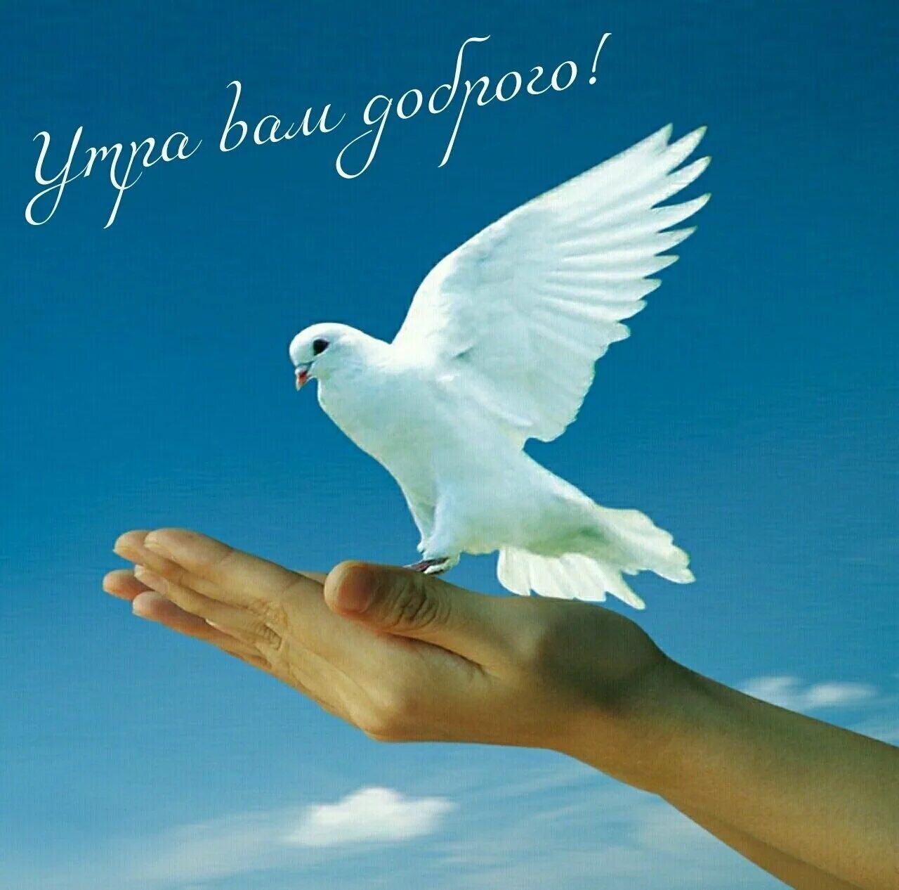 Прекрасного дня мирного неба