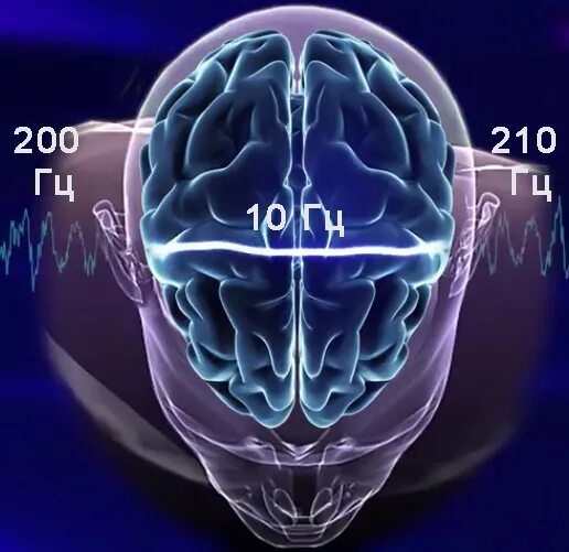 Частоты головного мозга. Волны головного мозга. Электромагнитные волны мозга. Альфа ритмы головного мозга. Излучение мозга.
