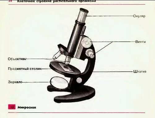 Строение микроскопа тест. Увеличительные приборы 5 класс биология микроскоп. световой микроскоп 5 класс биология. строение микроскопа 5 класс пасечник. биология 5 класс увеличительные приборы рисунок микроскопа.