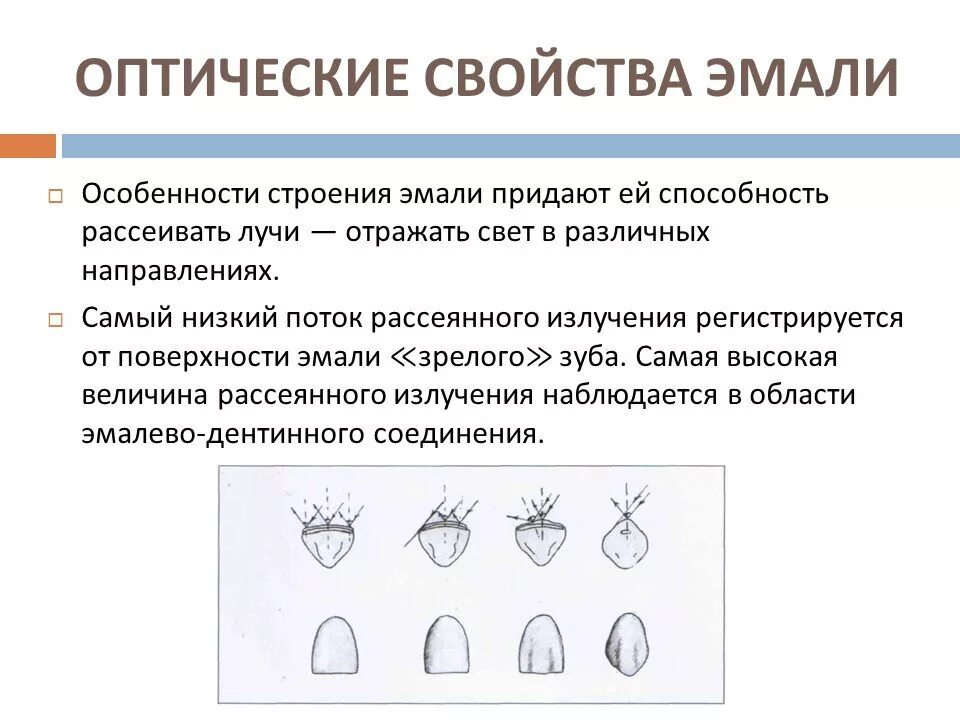В чем особенность строения эмали какую функцию