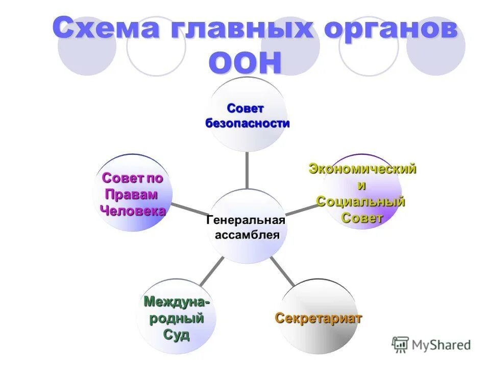 Основные органы оон