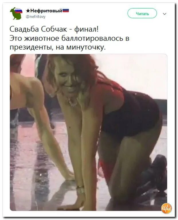 Собчак инагент или нет. Собчак и богомолов свадьба танец. танец собчак на свадьбе. ксения собчак в нижнем белье. ксения собчак танец на свадьбе.