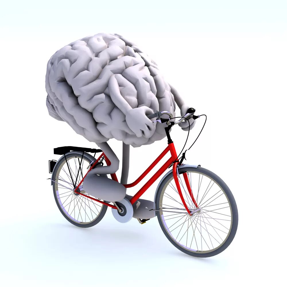 Мозг на велосипеде. Мозг с колесиками. Тренировка мозга.