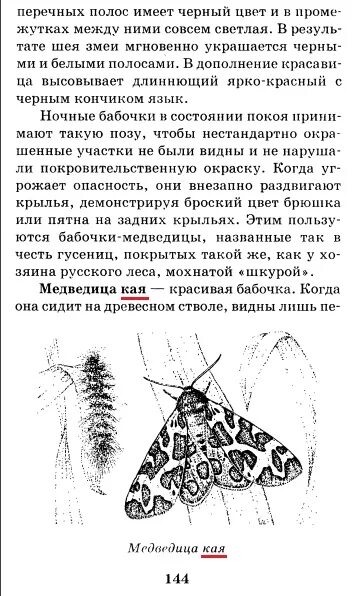 Какой тип развития для медведицы. Медведица Кайя описание. Ночная бабочка Медведица Кайя. Бабочка Медведица описание. Бабочка Медведица Тип развития.