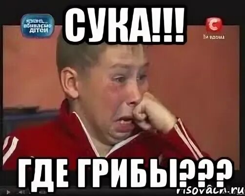 Сука интернет