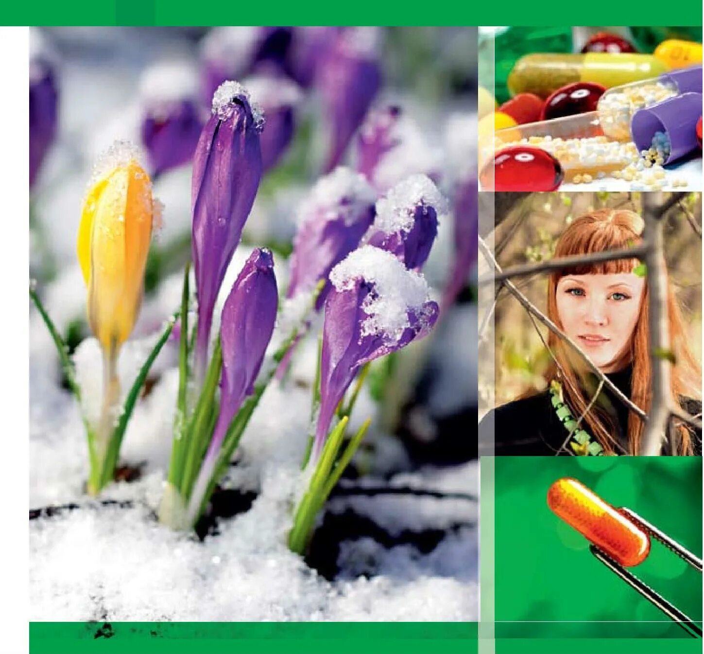 Весна. Включи весну. Японская белоглазка. Весенние цветы. Весна природа.