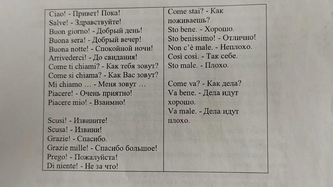 Слова приветствия на итальянском. Фразы на итальянском. Фразы приветствия на итальянском с переводом. Основные фразы на итальянском языке.