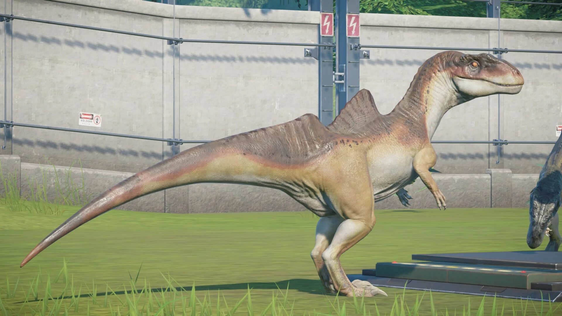 Спинораптор. Конкавенатор Jurassic World. Спинораптор Jurassic World Evolution. Конкавенатор Jurassic World Evolution. Торвозавр Jurassic World Evolution.