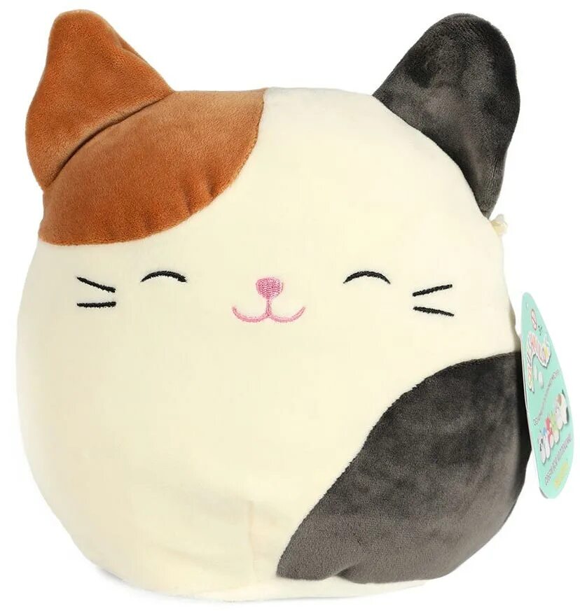 Кот Кэмерон мягкая игрушка-сквиш. Squishmallows игрушки Кэмерон. Антистресс котики СКВИШИ. Squishmallows игрушка котик. Кот сквиш