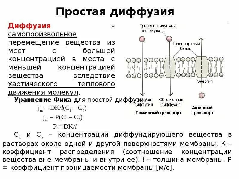 Диффузия липидов. Диффузия в биологических мембранах. транспорт веществ через биологические мембраны. проницаемость и транспорт веществ в биологических мембранах. диффузия липидов в биологических мембранах.
