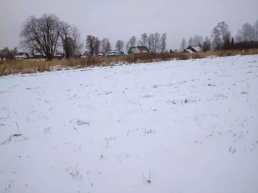 Погода в дмитровском районе на 10