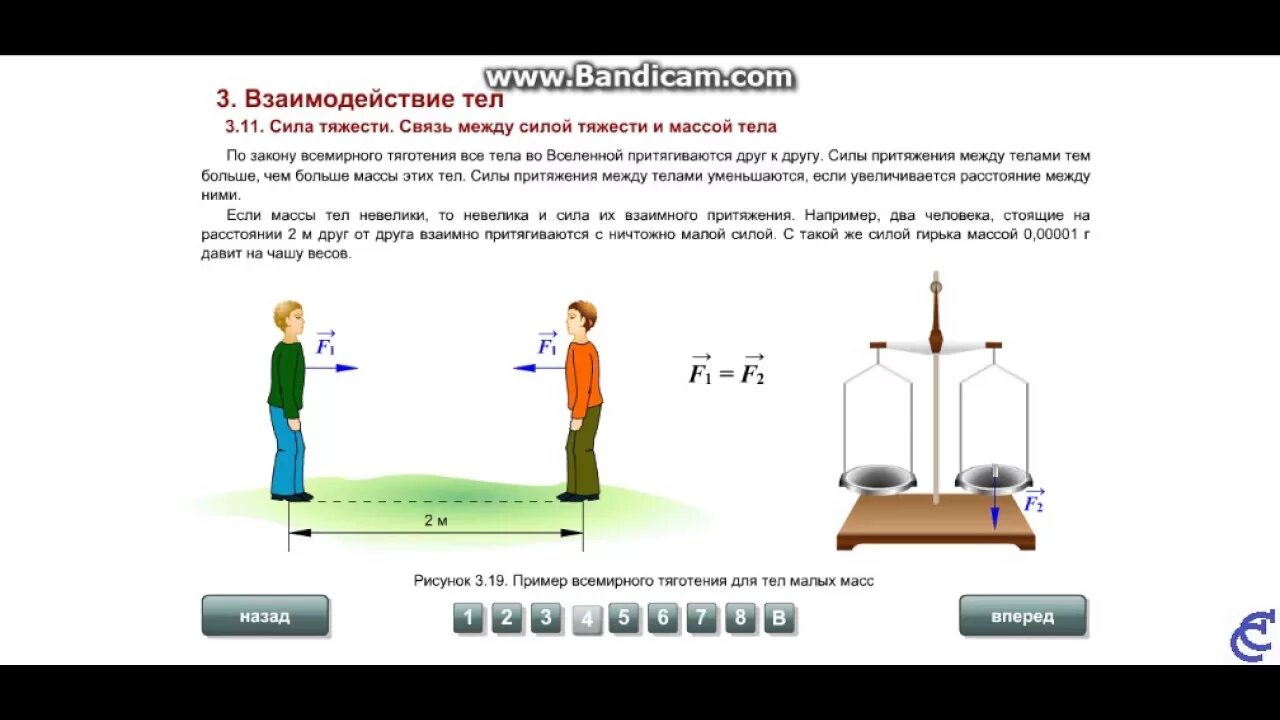 Физика 7 класс связь между силой тяжести и массой тела вес тела. Связь между силой тяжести и массой. Связь между силой тяжести и массой тела 7 класс физика. Взаимосвязь силы и массы. Масса тела книги