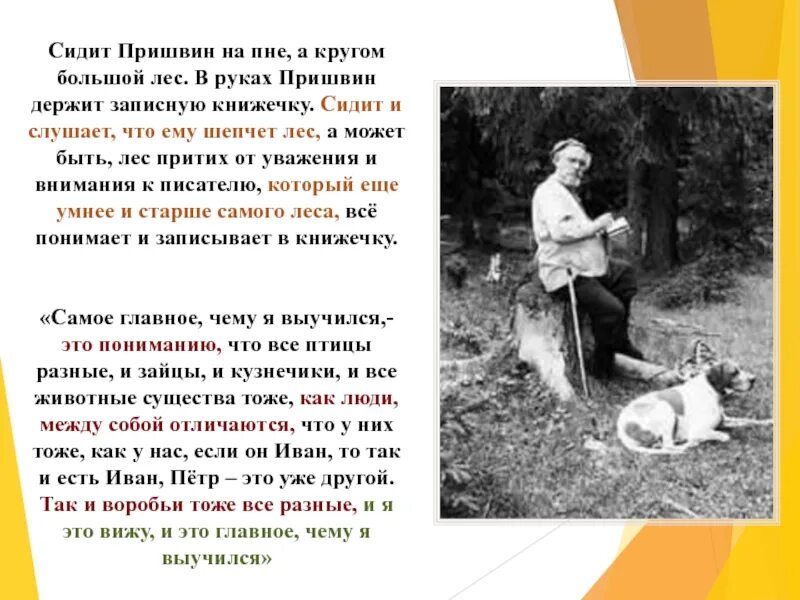 Родители Михаила Пришвина. Творчество м м Пришвина. Пришвин презентация. Пришвин сведения из жизни.