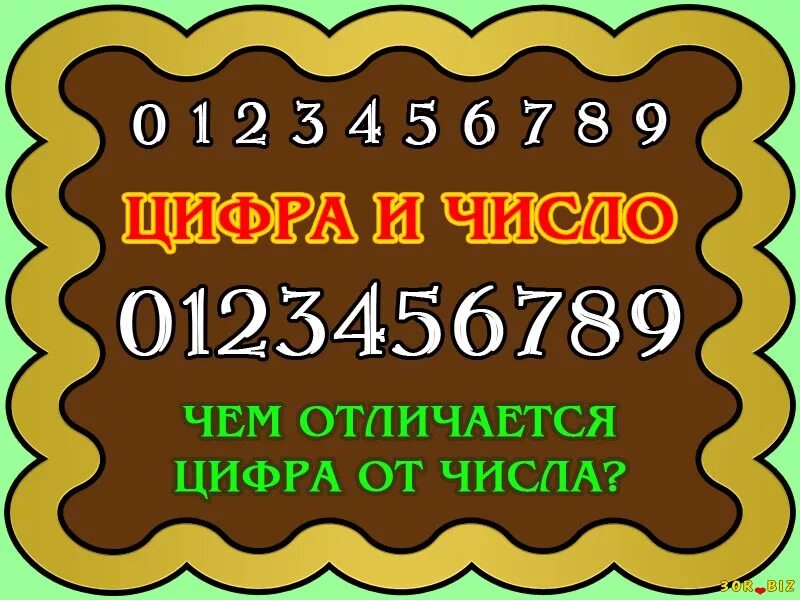 Чем цифры отличаются от цифр. Чем отличается цифра от числа. Чем отлимчаются цимфра от числ. Цифра или число. Цифра и число в чем разница.