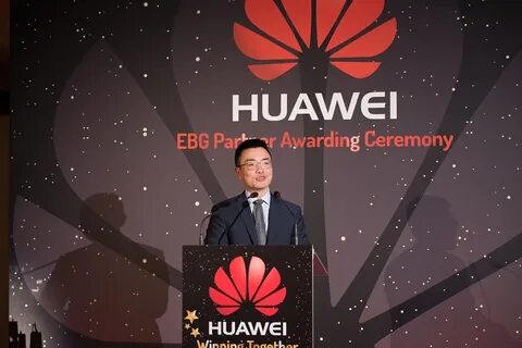 Huawei partners