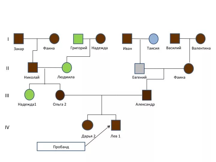Родословная схема по генетике цвет глаз. Родословная семьи по цвету глаз схема. Родословная по цвету глаз генетика. Схема родословной семьи биология 9 класс. Древо семьи биология генетика