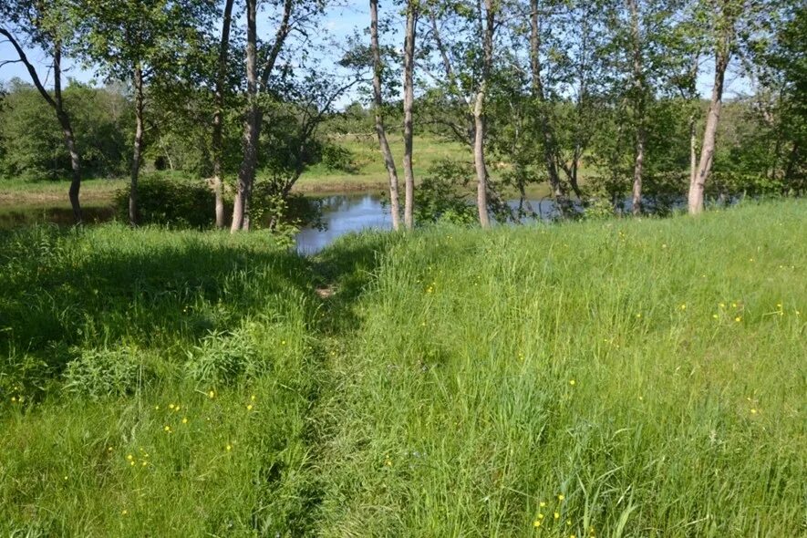 кашабеги удмуртия. участок 100 соток. село томилово мошковский район новосибирской области. участок 100 соток. 50 соток земли в метрах.