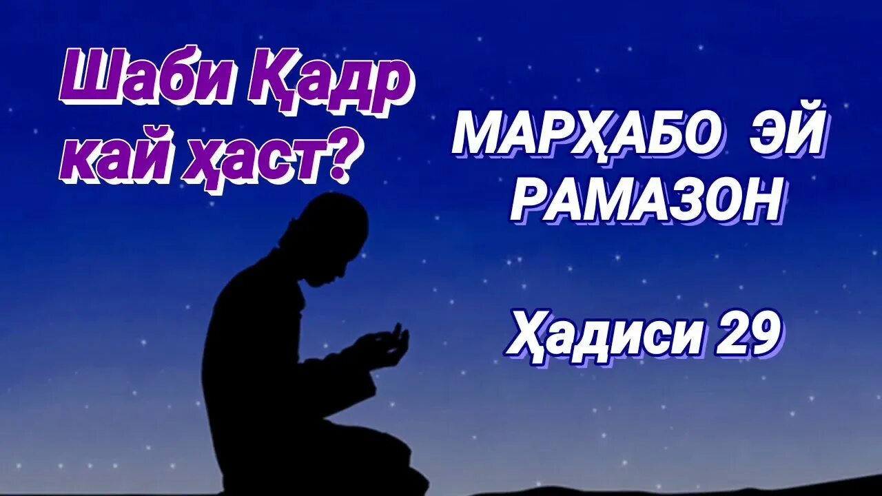 Шаби Кадр. Шави Кадр.